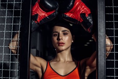 Tel örgü yakın eller ile çekici Boxer ayakta ve kamera bakıyor