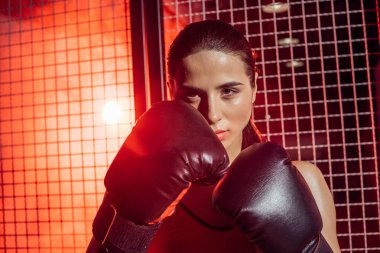 Tel örgü ve kamera bakarak yakın Boxer eğitim ön görünümü