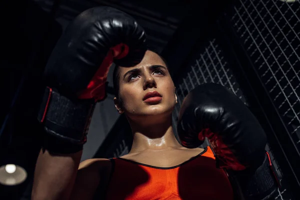 Low Angle View Boxer Boxing Gloves Looking Away — Stock Photo, Image