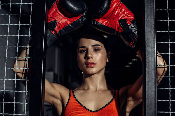 Attractive boxer standing with hands up near wire netting and looking at camera