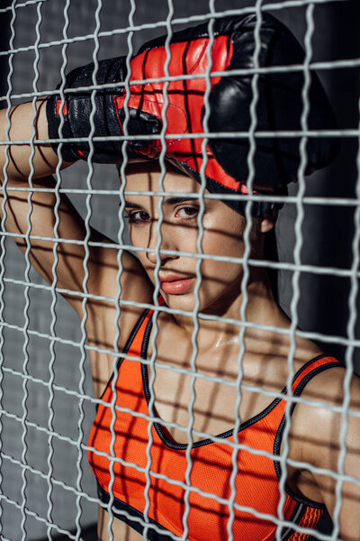 Attractive boxer standing behind wire netting and looking at camera
