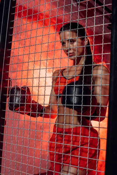 Boxer Boxing Gloves Standing Wire Netting Looking Away — Stock Photo, Image