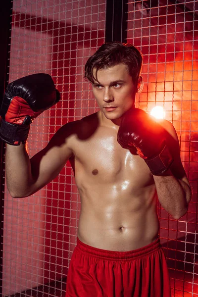 Handsome Boxer Boxing Gloves Standing Wire Netting Looking Away — Stock Photo, Image