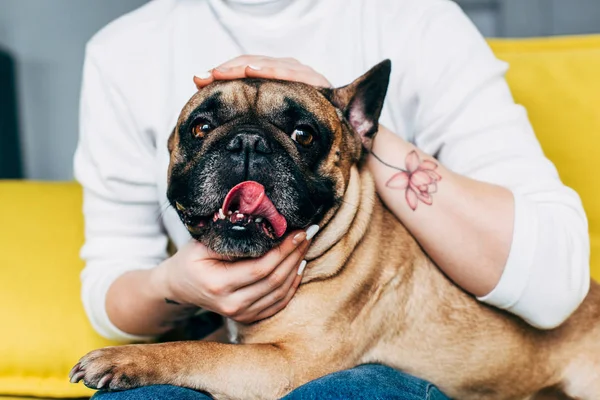 Recortado Vista Mujer Con Tatuaje Mano Tocando Lindo Bulldog Francés — Foto de Stock