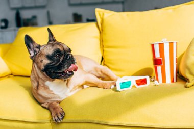 Sarı kanepe üzerinde kova 3D gözlük ve lezzetli patlamış mısır yakın yatan sevimli Fransız Bulldog 