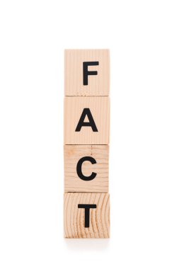 black fact lettering made of wooden blocks isolated on white clipart