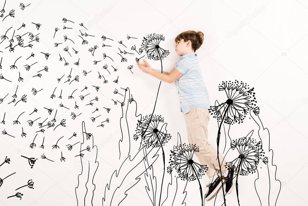 top view of kid blowing dandelion seeds while flying on white 