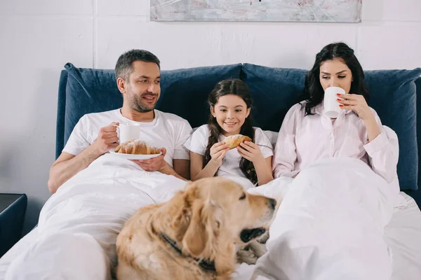 Selective Focus Happy Kid Looking Dog Lying Bed Parents Cups — Stock Photo, Image