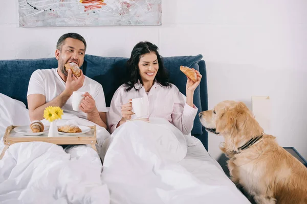 Cheerful Woman Touching Cute Dog Man Holding Cup Eating Croissant — Stock Photo, Image