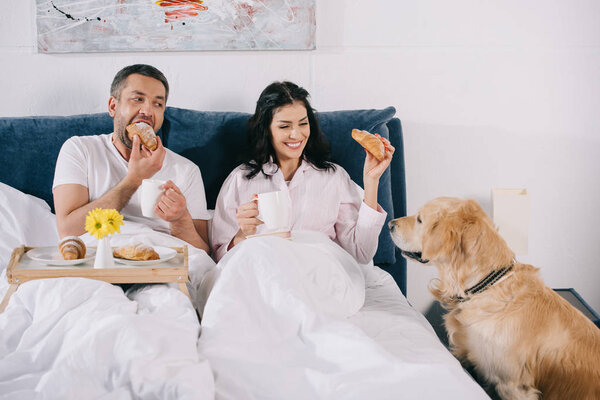 cheerful woman touching cute dog near man holding cup and eating croissant in bed 