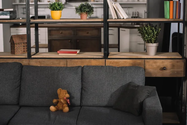 Teddy Bear Modern Grey Sofa Living Room Sunshine — Stock Photo, Image