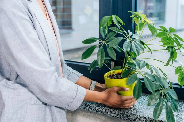 Cropped View African American Casual Businesswoman Holding Flowerpot Plant Loft — Stock Photo, Image