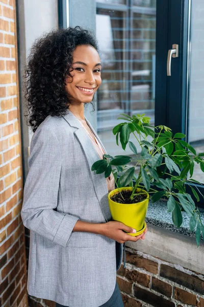Улыбающийся Африканский Американец Случайная Деловая Женщина Держащая Цветочный Горшок Растением — стоковое фото