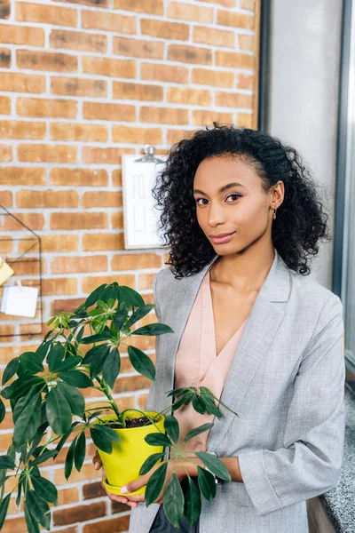 Schöne Afrikanisch Amerikanische Lässige Geschäftsfrau Hält Blumentopf Mit Pflanze Loft — Stockfoto