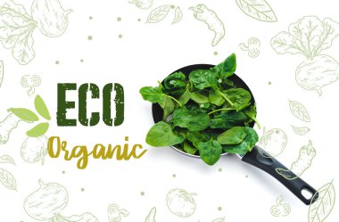 green fresh spinach leaves in frying pan on white background with eco organic lettering clipart