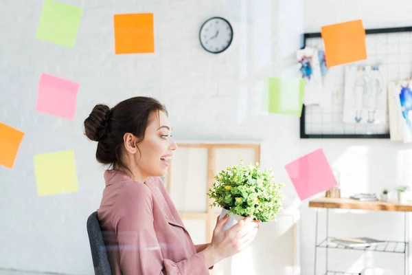 Excitada Joven Mujer Sosteniendo Planta Con Hojas Verdes Cerca Notas — Foto de Stock