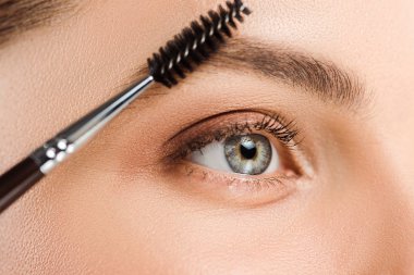 cropped view of woman holding eyebrow brush near eyebrow  clipart