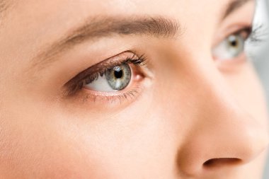 cropped view of woman with eye shadows on eyes looking away  clipart