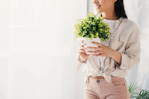 Cropped Shot Young Latin Woman Holding Flowerpot Green Plant — Stock Photo, Image