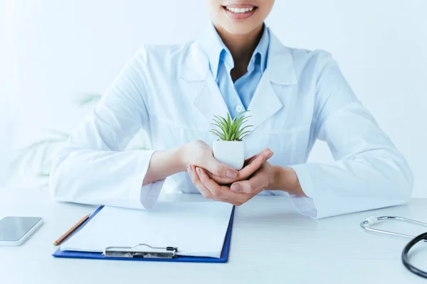 Visão Parcial Sorridente Latim Médico Segurando Planta Envasada Enquanto Sentado — Fotografia de Stock