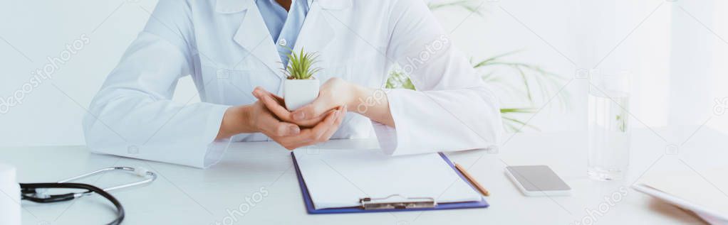 panoramic shot of doctor holding green potted plant while sitting at workplace near clipboard