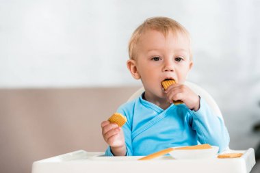 sevimli yürümeye başlayan çocuk besleme sandalyesinde oturan ve evde tatlı kurabiye yeme 