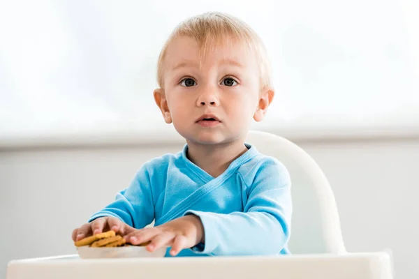 自宅でおいしいクッキーの近くに給餌椅子に座ってかわいい幼児の子供 — ストック写真