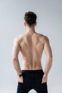 gri izole ceplerinde elleri ile kot pantolon gömleksiz kaslı adam arka görünümü