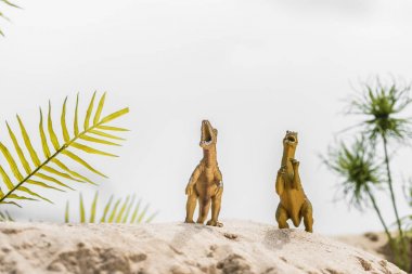 selective focus of toy dinosaurs roaring on sand dune with tropical leaves