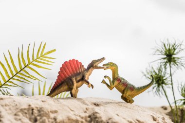 selective focus of toy dinosaurs roaring on sand dune with exotic leaves