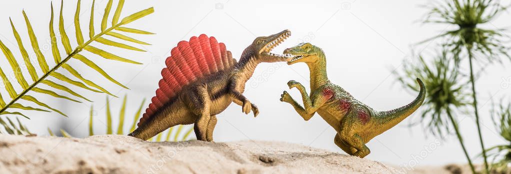 selective focus of toy dinosaurs roaring on sand dune with tropical leaves, panoramic shot