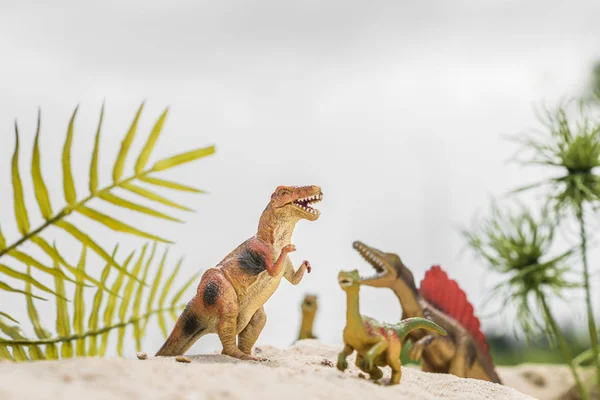stock image selective focus of toy dinosaurs on sand dune among tropical plants
