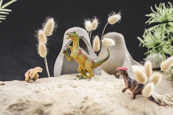 stock image selective focus of toy dinosaurs standing near caves and plants on sand dune 