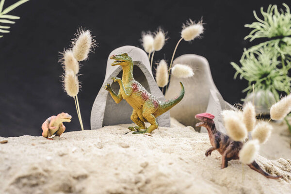 selective focus of toy dinosaurs standing near caves and plants on sand dune 