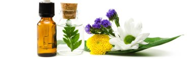 panoramic shot of bottles near flowers and leaves isolated on white  clipart