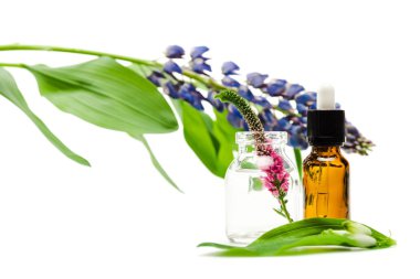 beyaz izole yaprakları yakınında veronica çiçek ile cam şişe seçici odak 