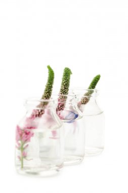 selective focus of glass bottles with pink veronica flowers isolated on white  clipart