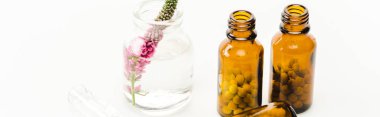 panoramic shot of veronica flower in glass bottle near pills isolated on white  clipart