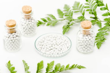 selective focus of medicine in glass petri dish near bottles with wooden corks and green leaves on white 