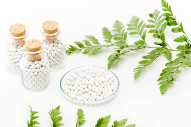 selective focus of round pills in glass plate near bottles with wooden corks and green leaves on white 