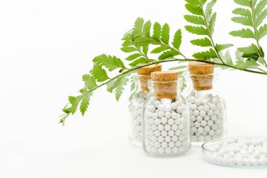 beyaz ahşap mantarlar ve yeşil yaprakları ile cam şişelerde tıp seçici odak 