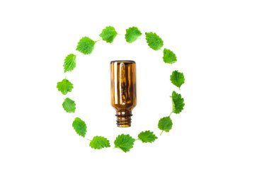 beyaz izole yeşil taze yaprakların çerçevesi yakınında küçük şişe üst görünümü 