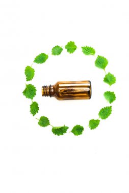 beyaz izole yeşil taze yaprakların daire yakın şişe üst görünümü 