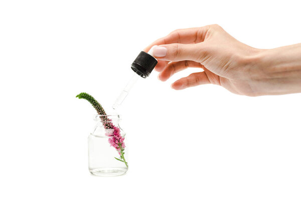 cropped view of woman holding pipette near glass bottle with veronica flower isolated on white 