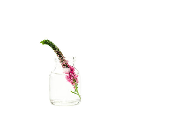 glass bottle with pink veronica flower isolated on white 