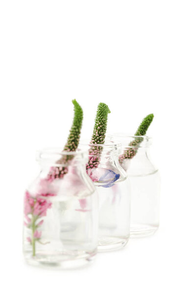 selective focus of glass bottles with pink veronica flowers isolated on white 