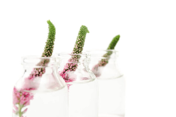 selective focus of glass bottles with veronica flowers isolated on white 
