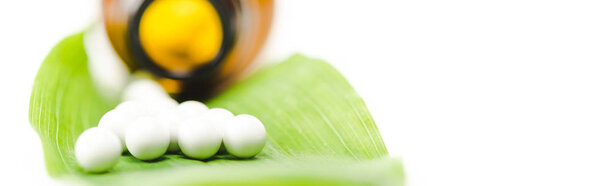 panoramic shot of small round pills on green leaf near bottle isolated on white 