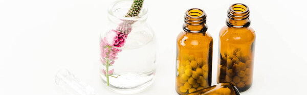 panoramic shot of veronica flower in glass bottle near pills isolated on white 