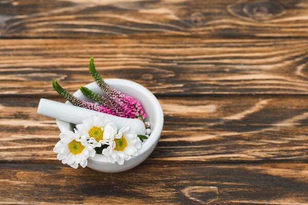 top view of veronica and chrysanthemum flowers in mortar near pestle 